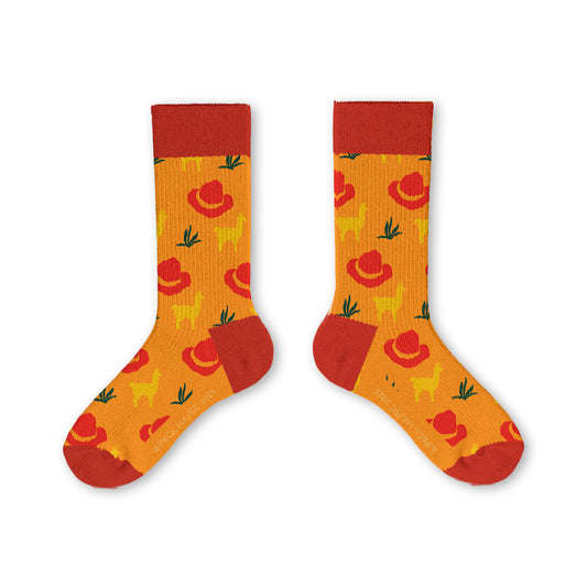 Paddington in Peru Orange Youth Socks